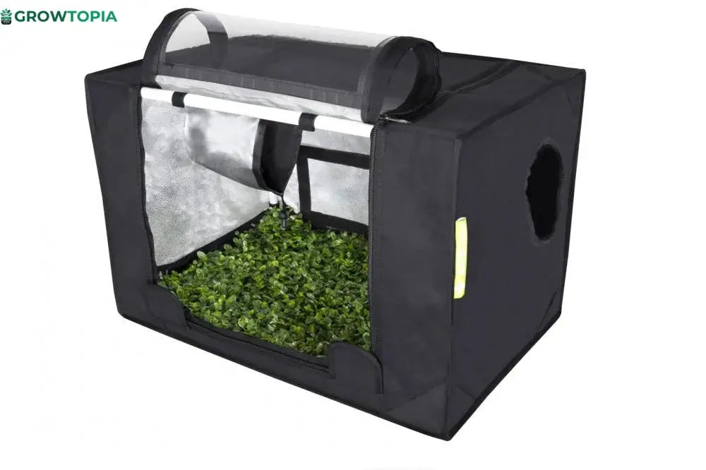 Cabine De Cultivo Indoor Probox Propagator S Estufa Grow - 60X40X40Cm