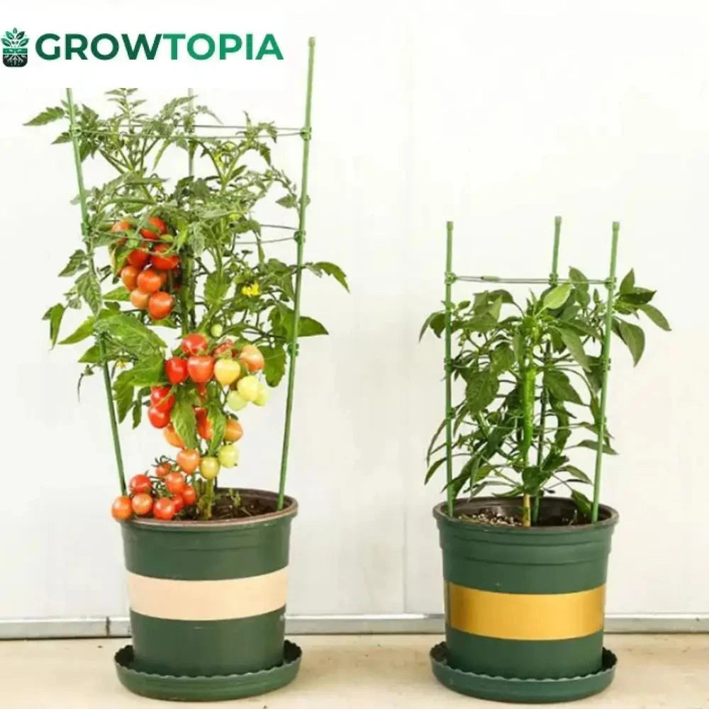 Estaca Para Suporte De Plantas E Treinamento Lst - 60 75 90Cm