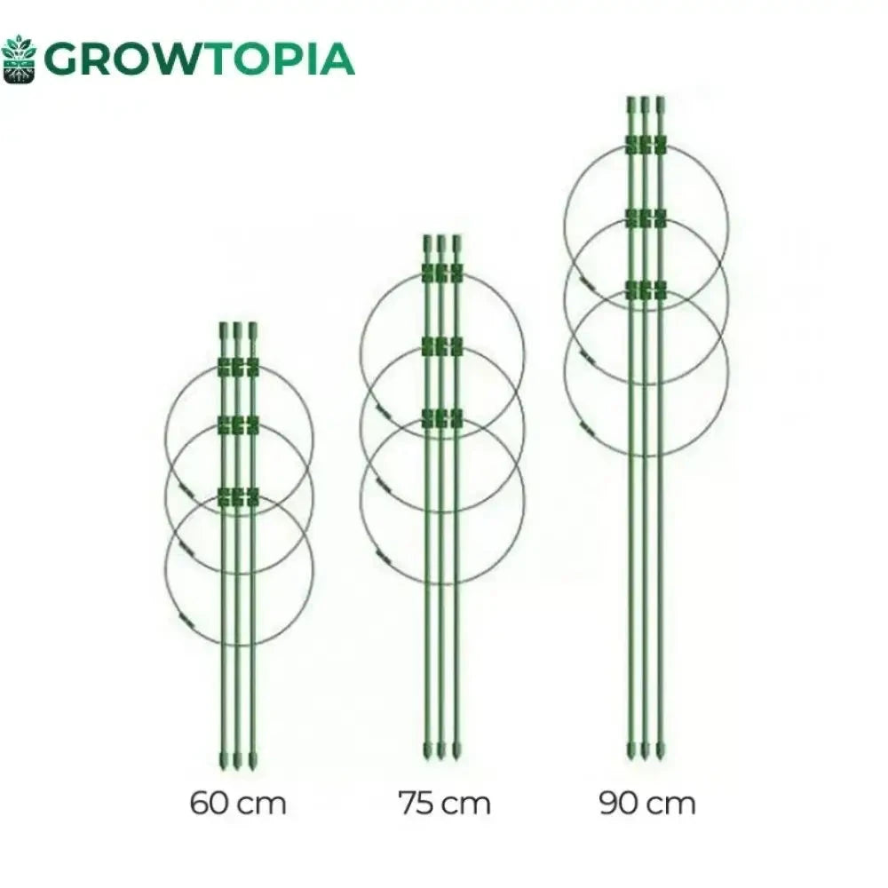 Estaca Para Suporte De Plantas E Treinamento Lst - 60 75 90Cm