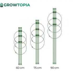 Estaca Para Suporte De Plantas E Treinamento Lst - 60 75 90Cm